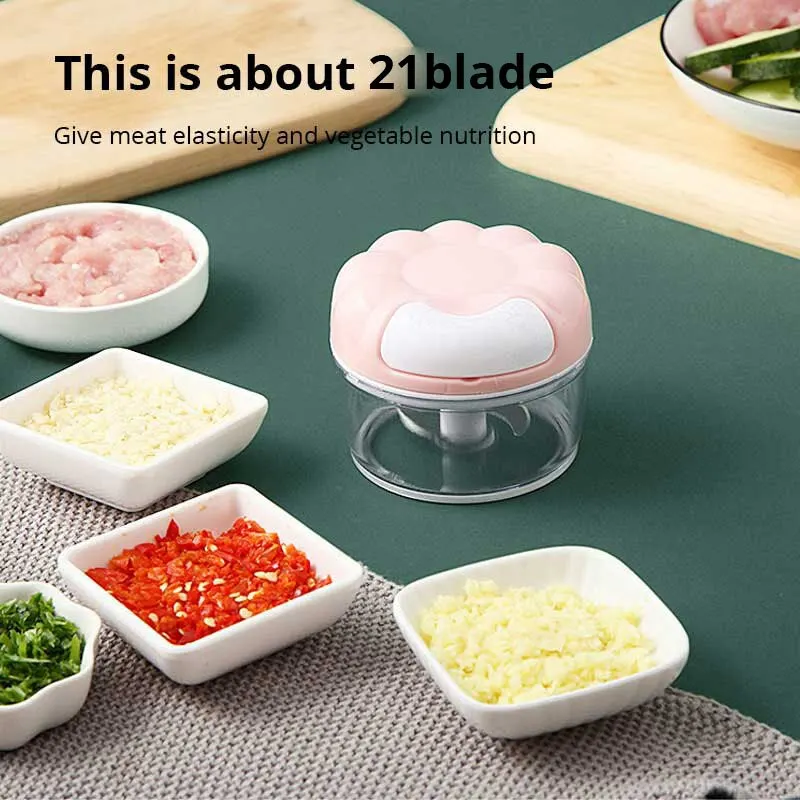 1 Pc Blauw/Roze Handleiding Kn - Immersion Hand Blender Set recensie en prijs